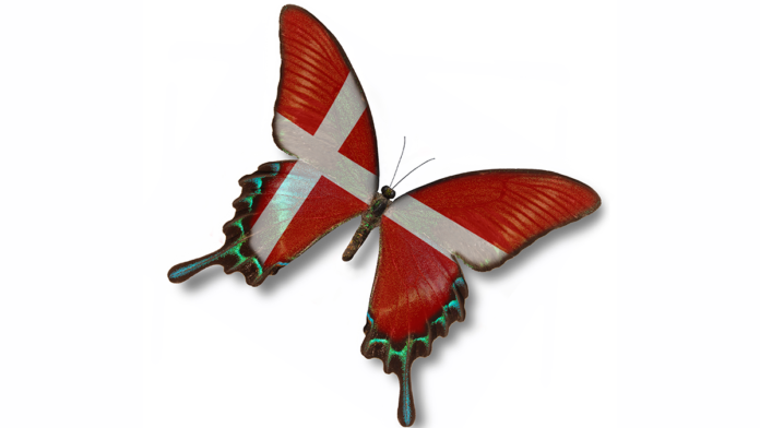 natur sommerfugl DK