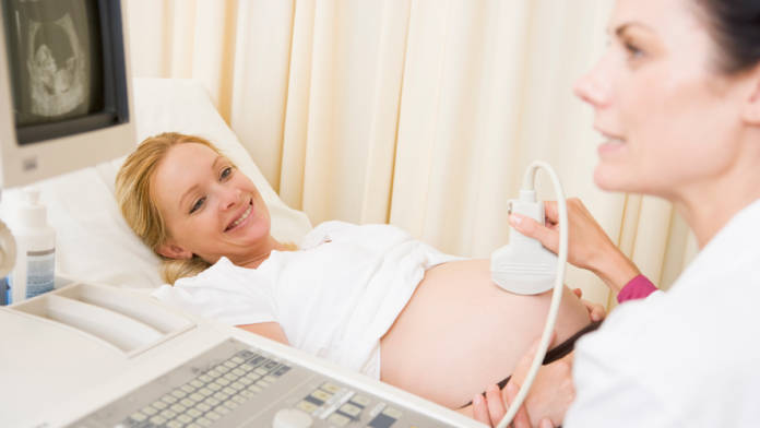 env gravid scanning 8236