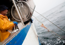 Kraftigt iltsvind i Limfjorden nord for Nibe