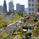 Rotterdam Op het Dak