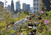Hold ferie på toppen af Rotterdam – byen med haver på tagene