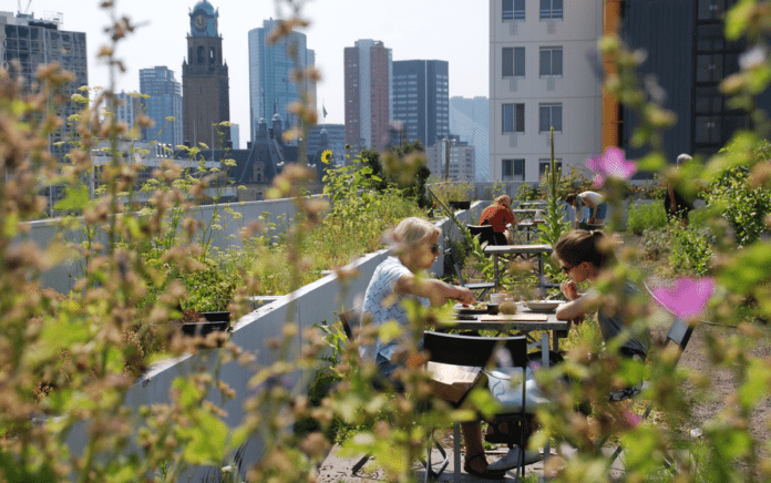 Rotterdam Op het Dak
