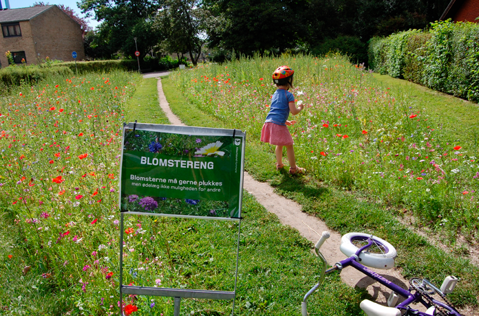 natur Albertslund giftfri have