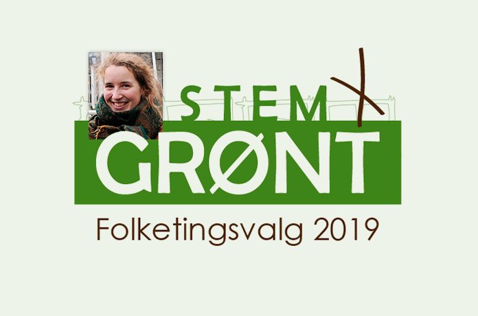 rebecca stem gr