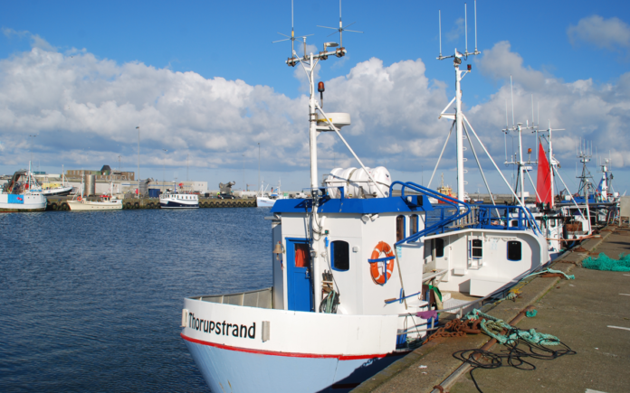 fiskeri Thorupstrand 0008