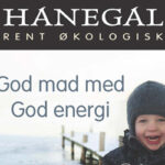 ann-hanegal-17-11