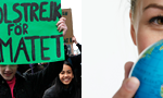 header grafik green