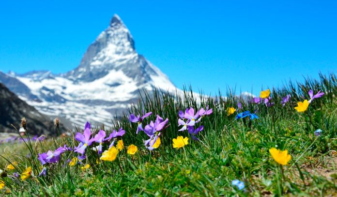 Schweiz matterhorn 1920