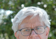 Helt urimelig høj pris, vi skal betale for at tage lavbundsjorde ud af drift