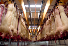Slagterier kan skære en femtedel af gasforbruget