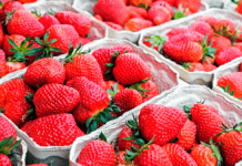 Irma-butikker klar med sæsonens første jordbær
