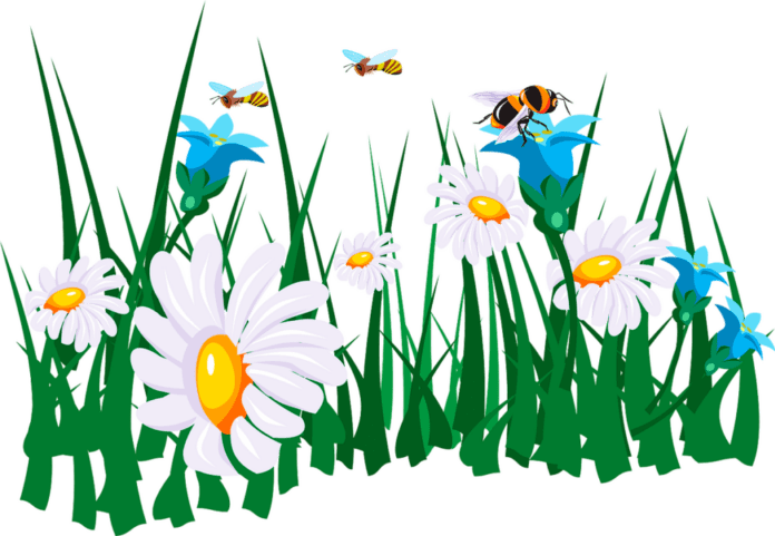 natur-blomster-og-bier-1024x707