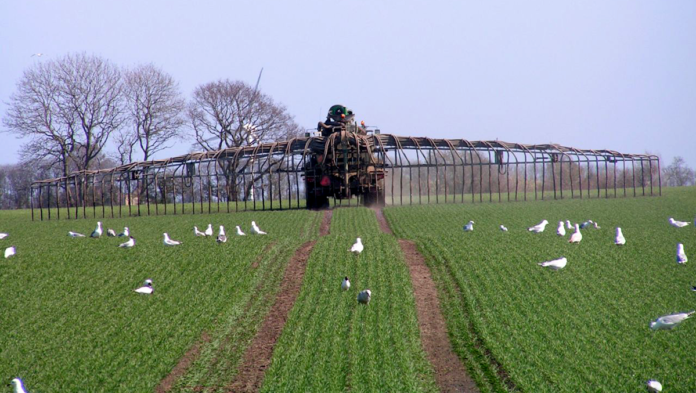 agro gylle 20-05