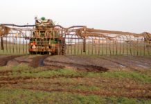 Opbakning til Stiig Markager fra grønne organisationer