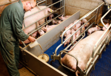 Velkommen i kampen for bedre dyrevelfærd, Venstre