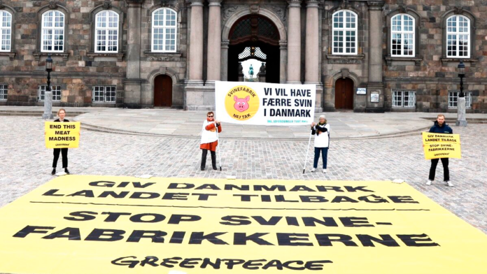 agro svin christiansborg