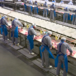 agro svin slagteri 20-05-04