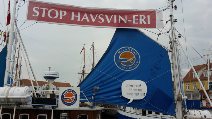 natur fisk havbrug anton