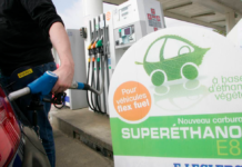 Italiens oliegigant vil udfase brugen af palmeolie i diesel til biler