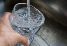 Ny model giver mere skovrejsning og renere drikkevand