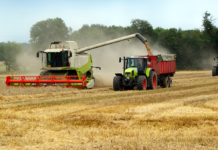 Grønne organisationer: Opdyrkning af brak er ren symbolpolitik