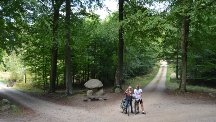 natur gribskov kierkegaard mindsten