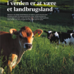 Klip Politiken – 12-07-2020