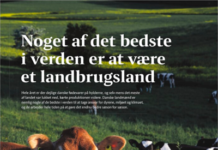 10 fødevarer, der indeholder mest sprøjtegift