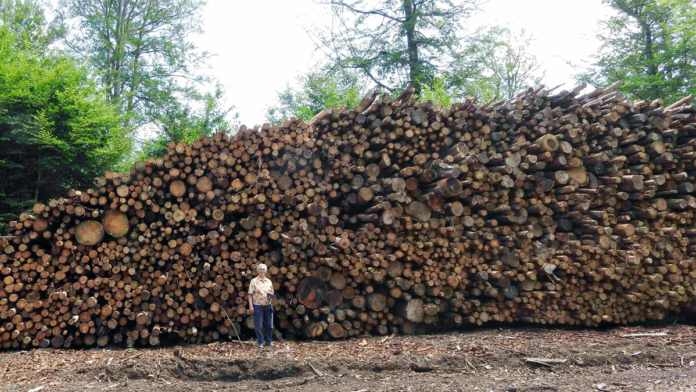 natur flis gribskov