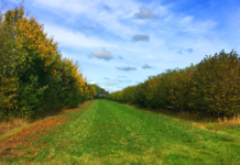 Økologer klar med ny model til et bæredygtigt fødevaresystem