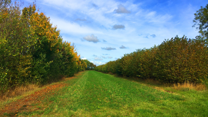 agro natur læhegn