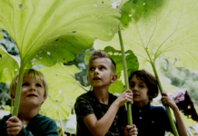 Søndag 13. september kan du være vild i naturen