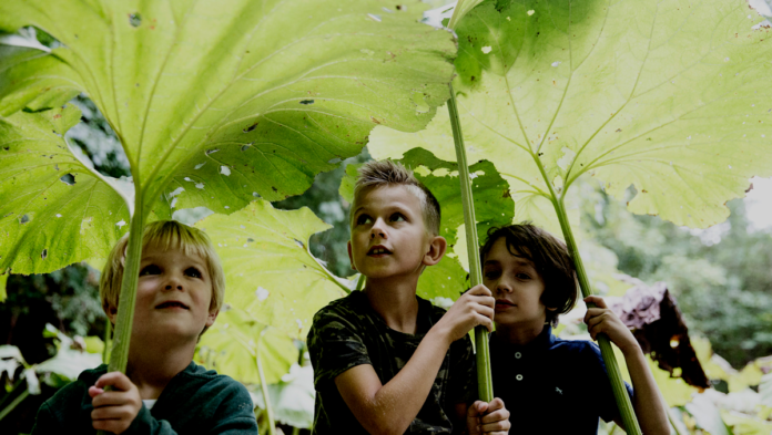 natur naturens dag 2020