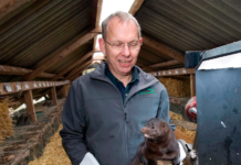 Frankrig forbyder minkavl og vilde dyr i cirkus