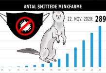 Blå bloks ulidelige forsøg på at slå politisk plat på minkavlerne