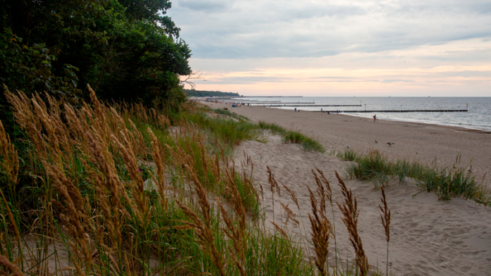 natur kyst strand