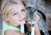 Dyr og miljø betaler prisen, når vi går amok med fyrværkeri