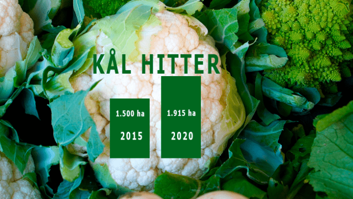 grafik food areal m kaal