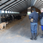 agro stald kvinder 1306