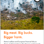 grafik big meat big bucks bigger harm