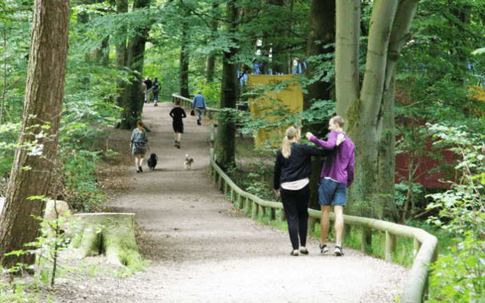 natur skov Aarhus 210204