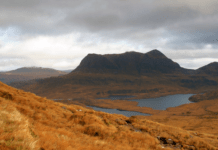 Skotland skal være verdens første rewilding nation