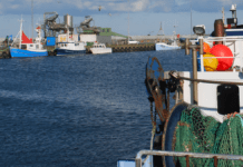 Kvotekongen nægter, at nærmeste familie agerede stråmænd