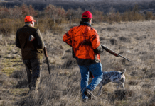 Jagt og fiskeri kan ødelægge naturen
