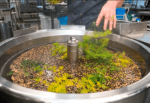 Offentlige køkkener får millioner til flere økologiske måltider