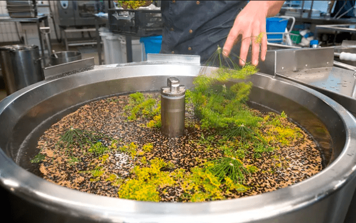 organic Randers sygehus