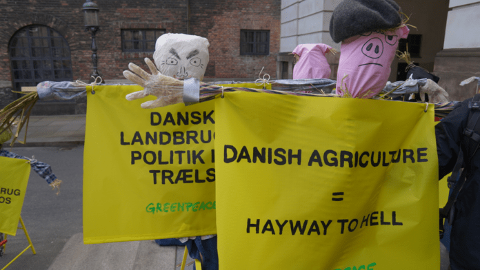 klima agro aktion kød