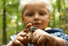 Tag børnene med på opdagelse i en urørt skov