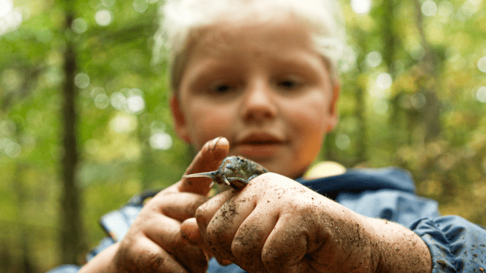 natur dreng urørt skov