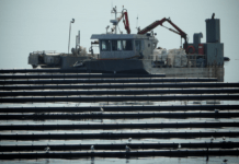 Muslinge-notat anklages for videnskabelig uredelighed